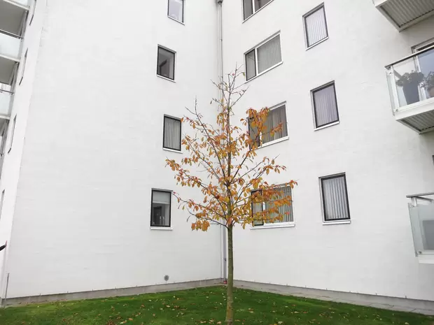 white concrete house